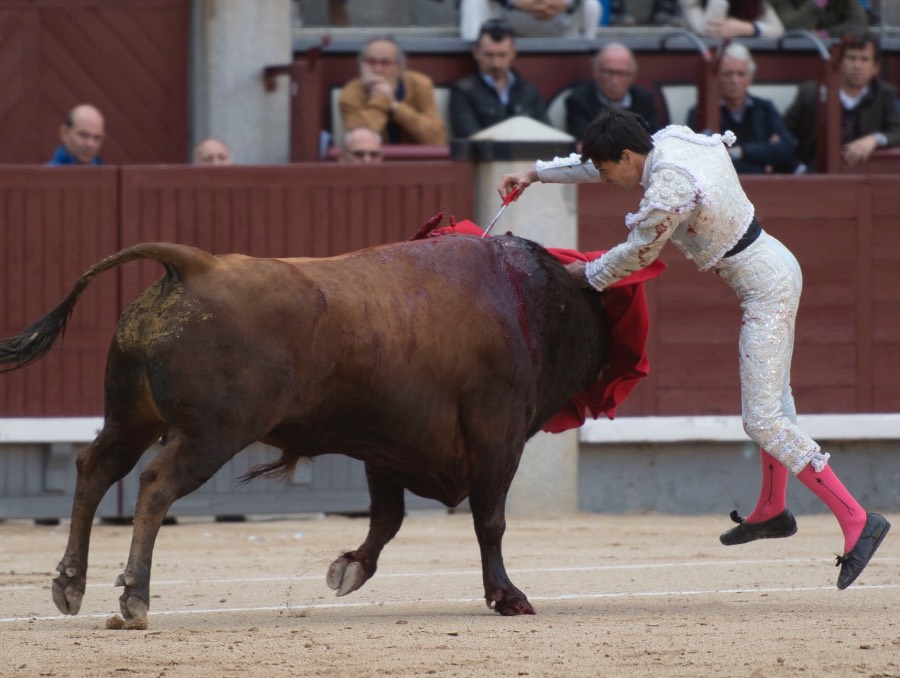 Madrid, 13 de mayo de 2018