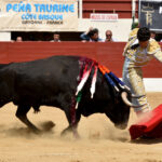 Vic-Fezensac (Francia) - Feria de Pentecostés - Matinal - Domingo 20 de mayo 2018