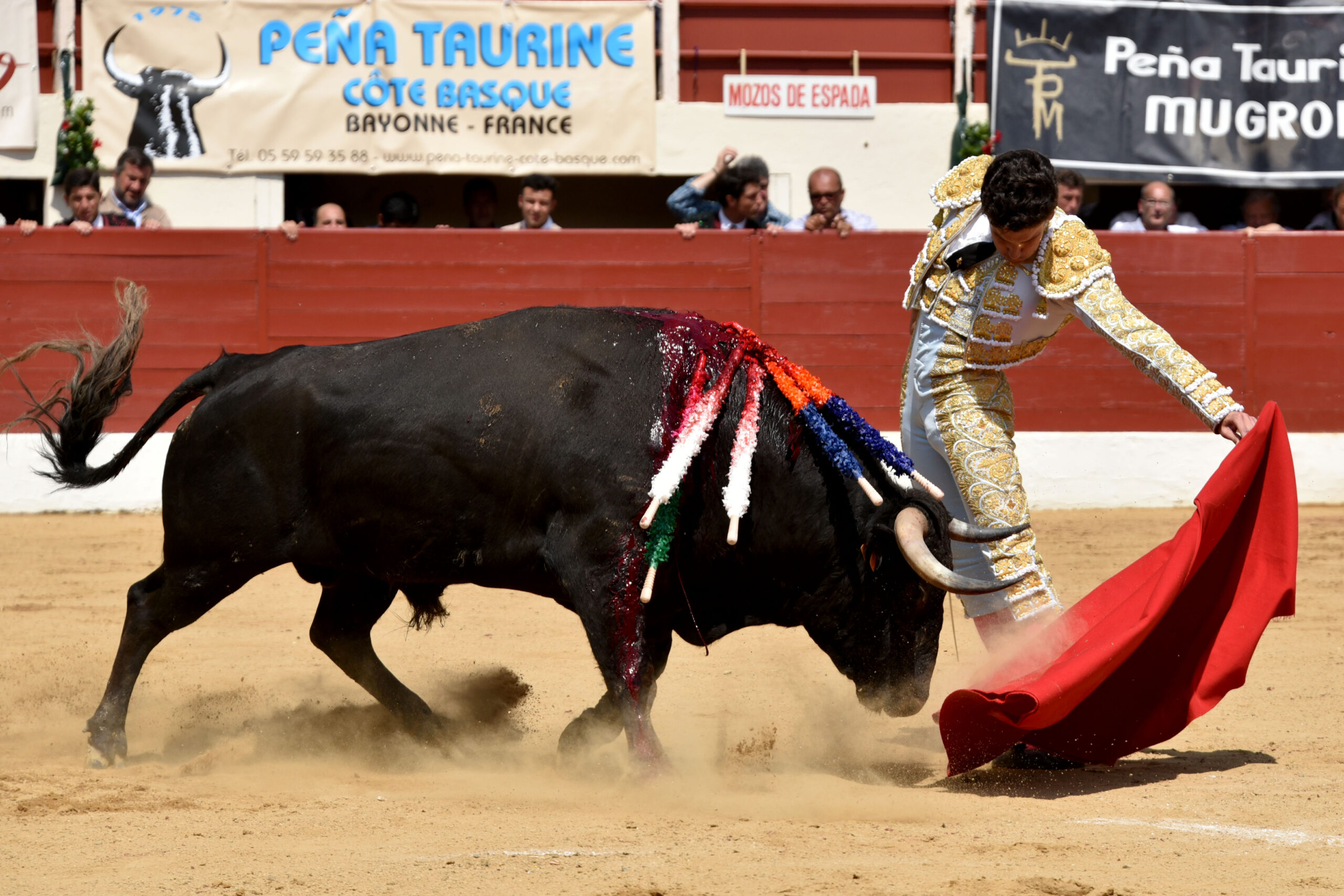 Vic-Fezensac (Francia) - Feria de Pentecostés - Matinal - Domingo 20 de mayo 2018