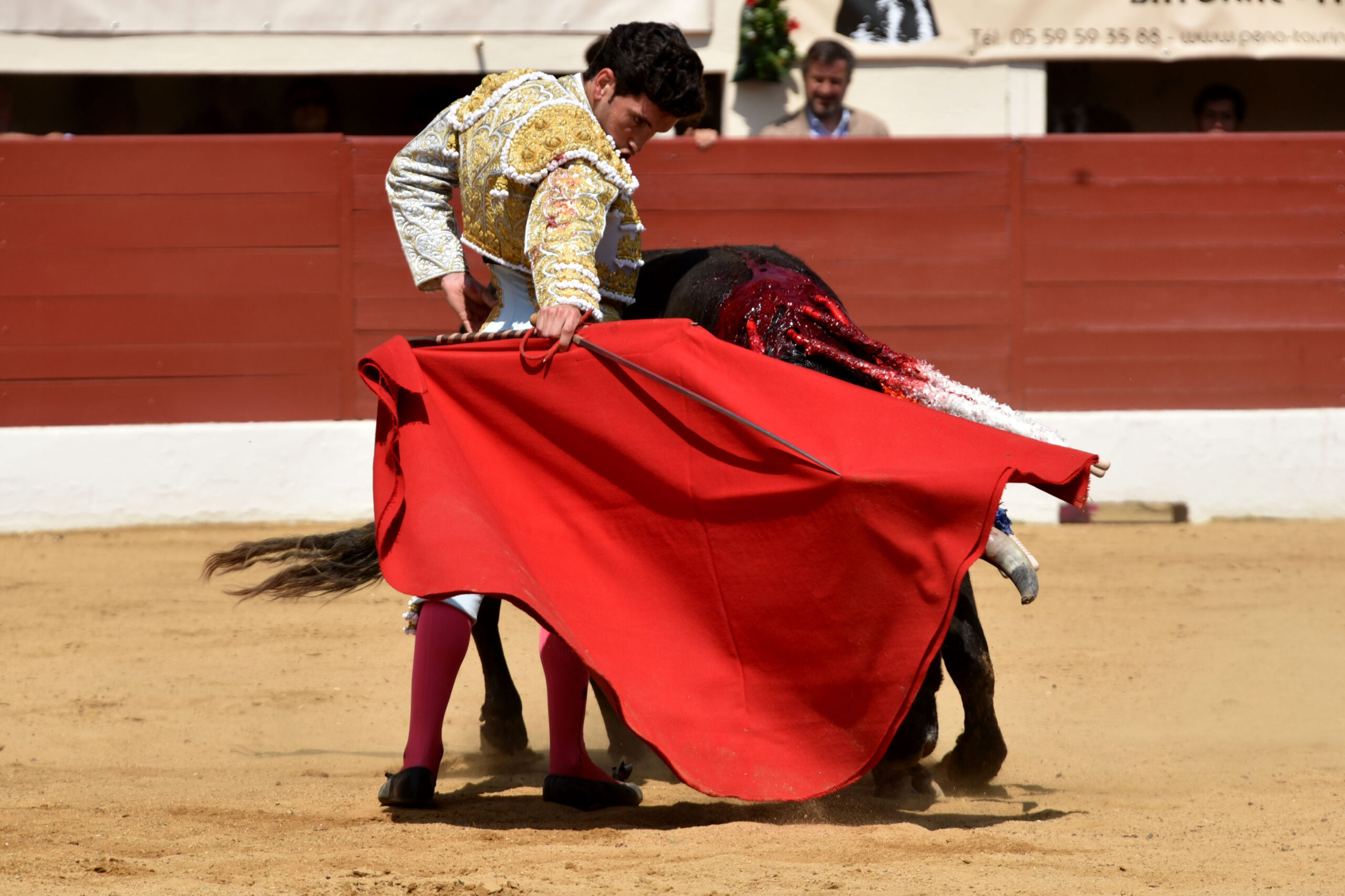 Vic-Fezensac (Francia) - Feria de Pentecostés - Matinal - Domingo 20 de mayo 2018