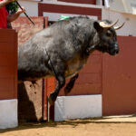 Vic-Fezensac (Francia) - Feria de Pentecostés - Matinal - Domingo 20 de mayo 2018