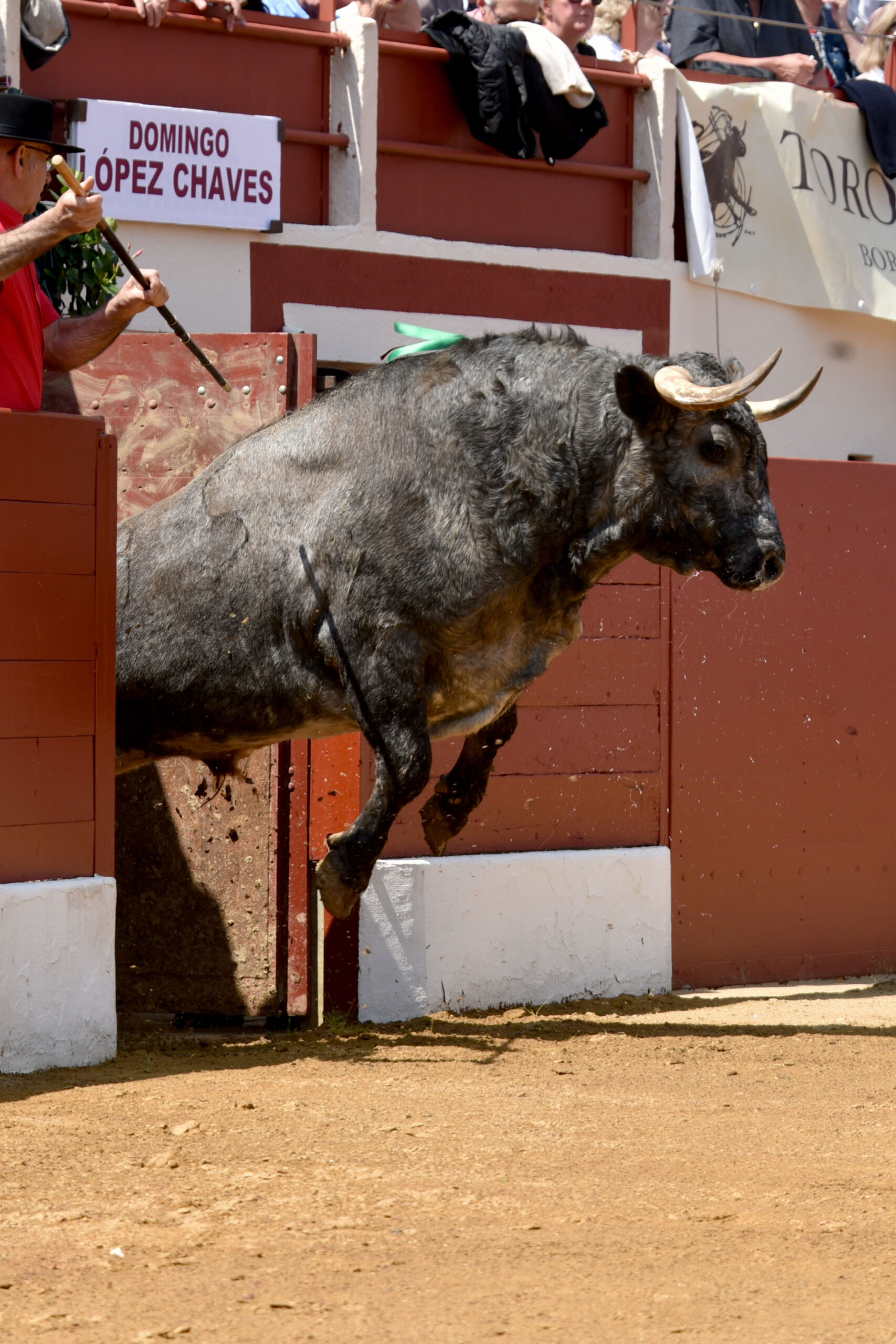 Vic-Fezensac (Francia) - Feria de Pentecostés - Matinal - Domingo 20 de mayo 2018