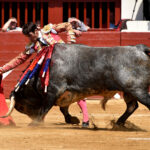 Vic-Fezensac (Francia) - Feria de Pentecostés - Matinal - Domingo 20 de mayo 2018