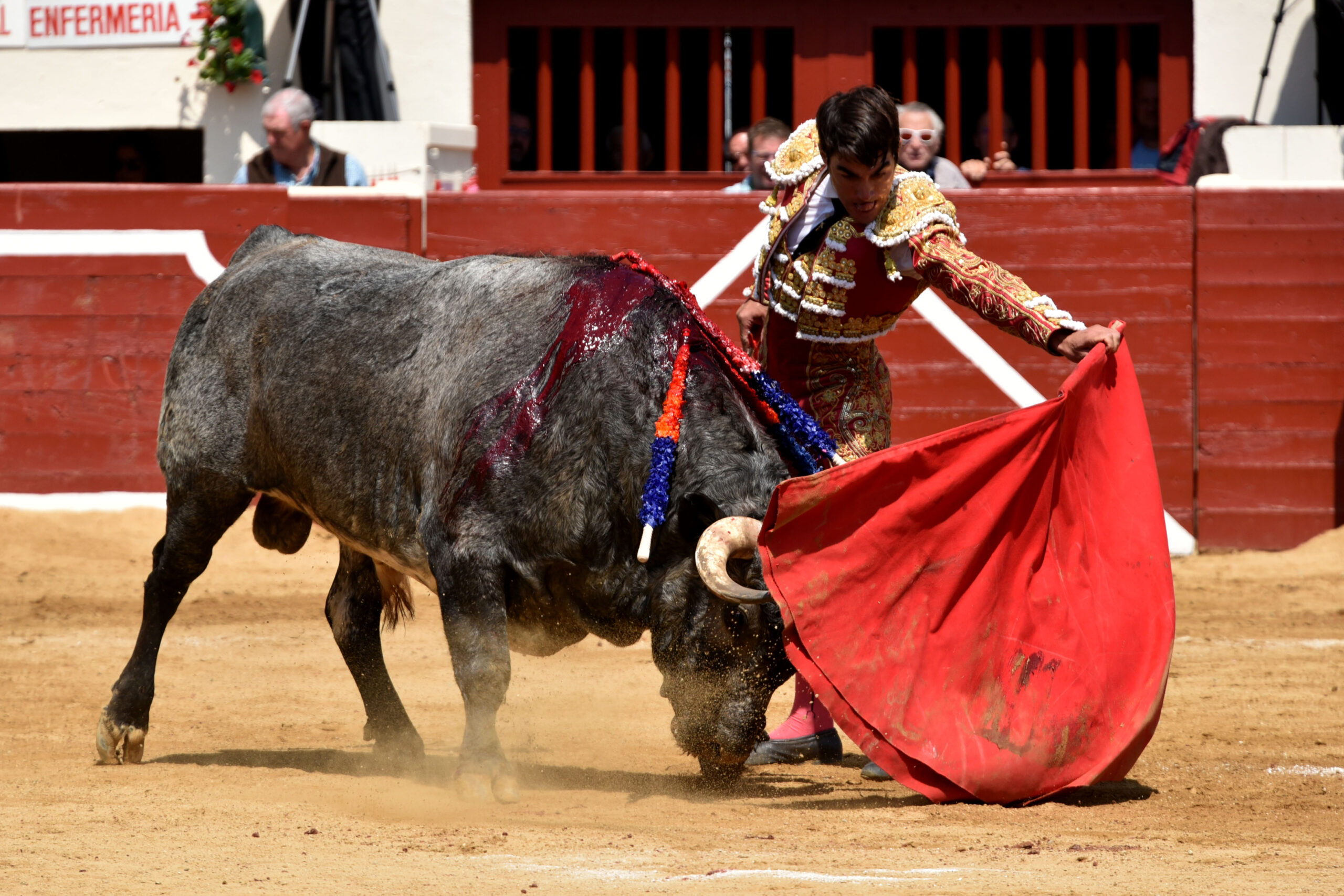 Vic-Fezensac (Francia) - Feria de Pentecostés - Matinal - Domingo 20 de mayo 2018