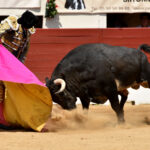 Vic-Fezensac (Francia) - Feria de Pentecostés - Matinal - Domingo 20 de mayo 2018
