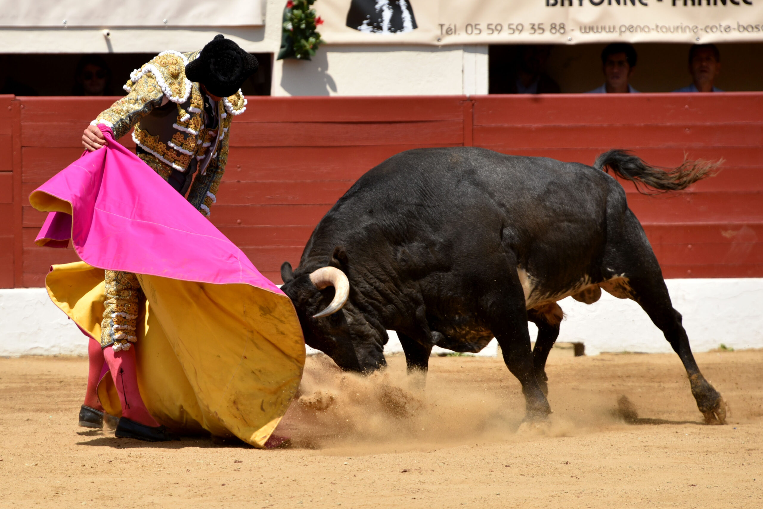 Vic-Fezensac (Francia) - Feria de Pentecostés - Matinal - Domingo 20 de mayo 2018