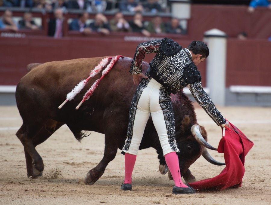 Madrid, 13 de mayo de 2018
