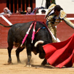 Vic-Fezensac (Francia) - Feria de Pentecostés - Matinal - Domingo 20 de mayo 2018