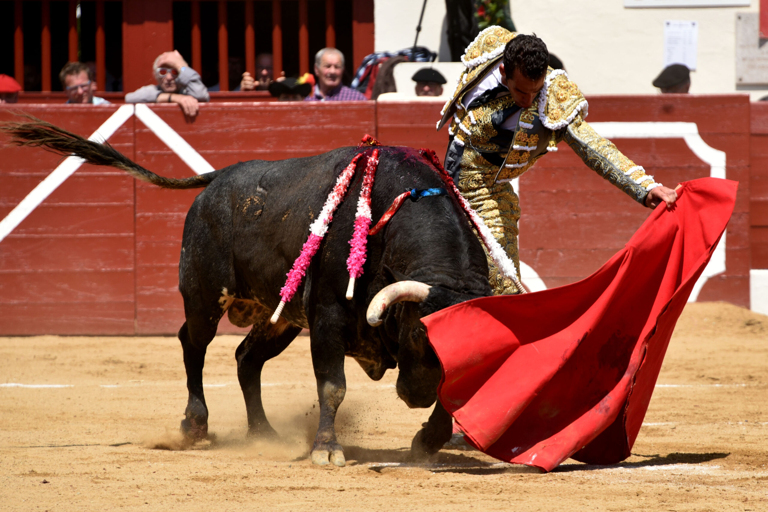 Vic-Fezensac (Francia) - Feria de Pentecostés - Matinal - Domingo 20 de mayo 2018