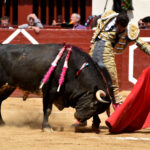 Vic-Fezensac (Francia) - Feria de Pentecostés - Matinal - Domingo 20 de mayo 2018