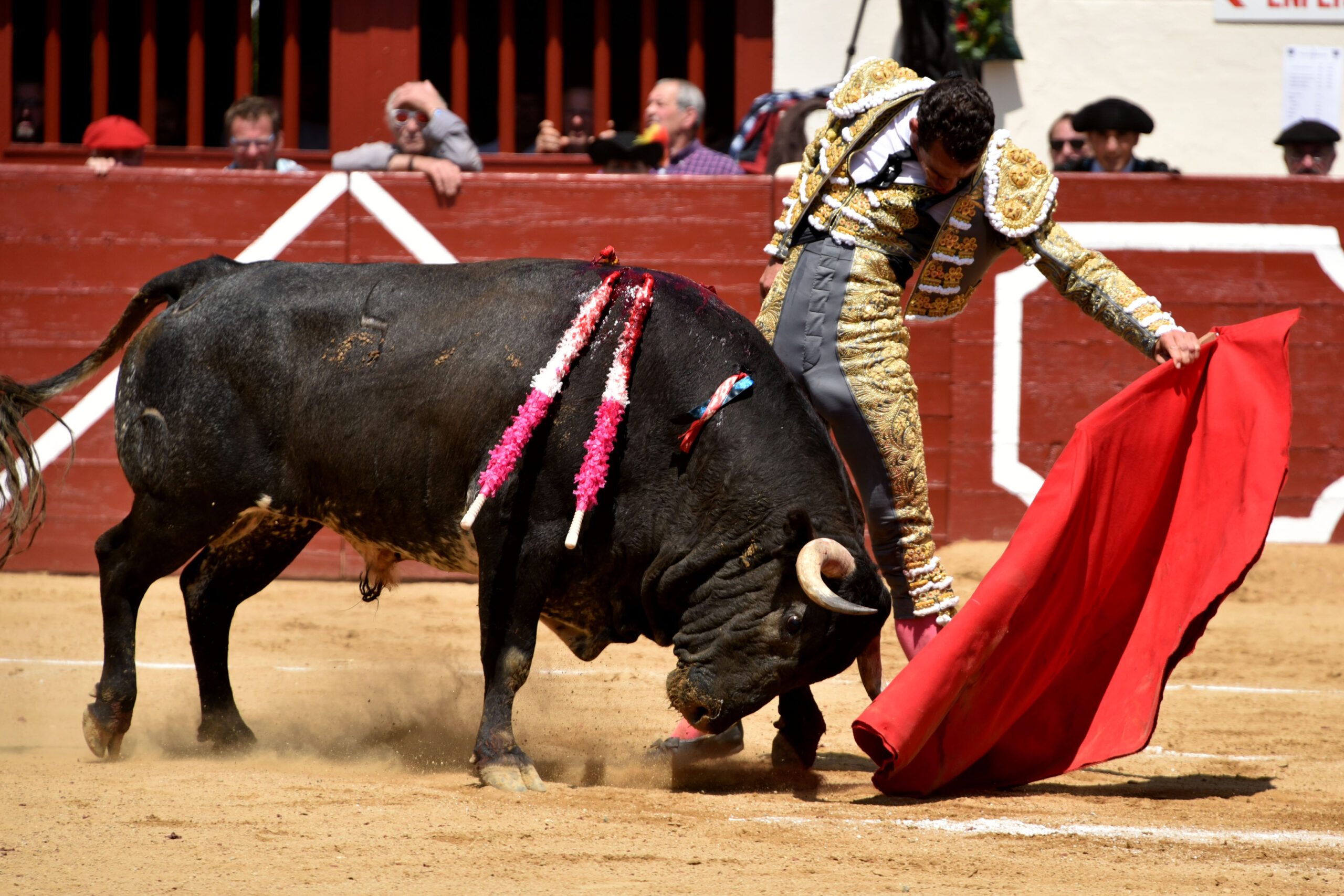 Vic-Fezensac (Francia) - Feria de Pentecostés - Matinal - Domingo 20 de mayo 2018