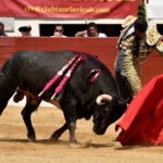 Vic-Fezensac (Francia) - Feria de Pentecostés - Matinal - Domingo 20 de mayo 2018