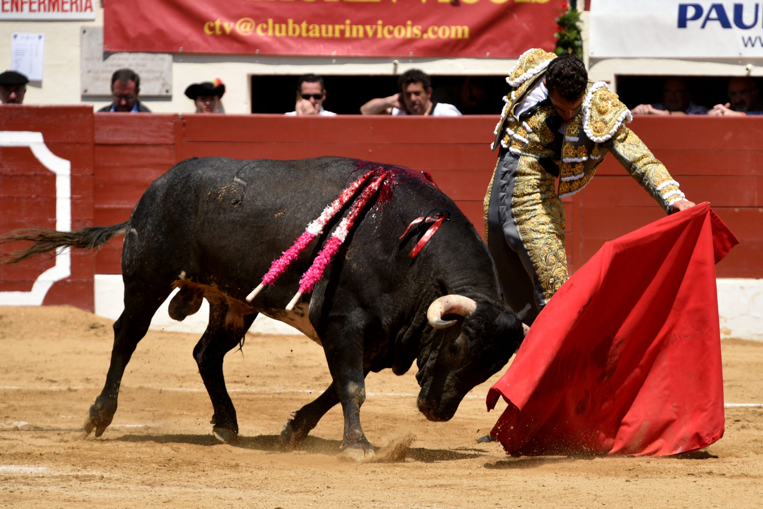 Vic-Fezensac (Francia) - Feria de Pentecostés - Matinal - Domingo 20 de mayo 2018