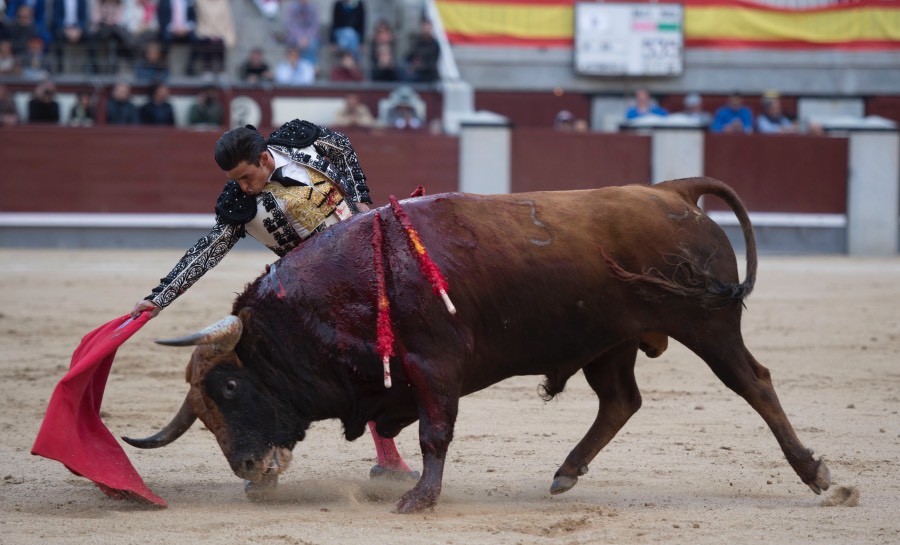 Madrid, 13 de mayo de 2018