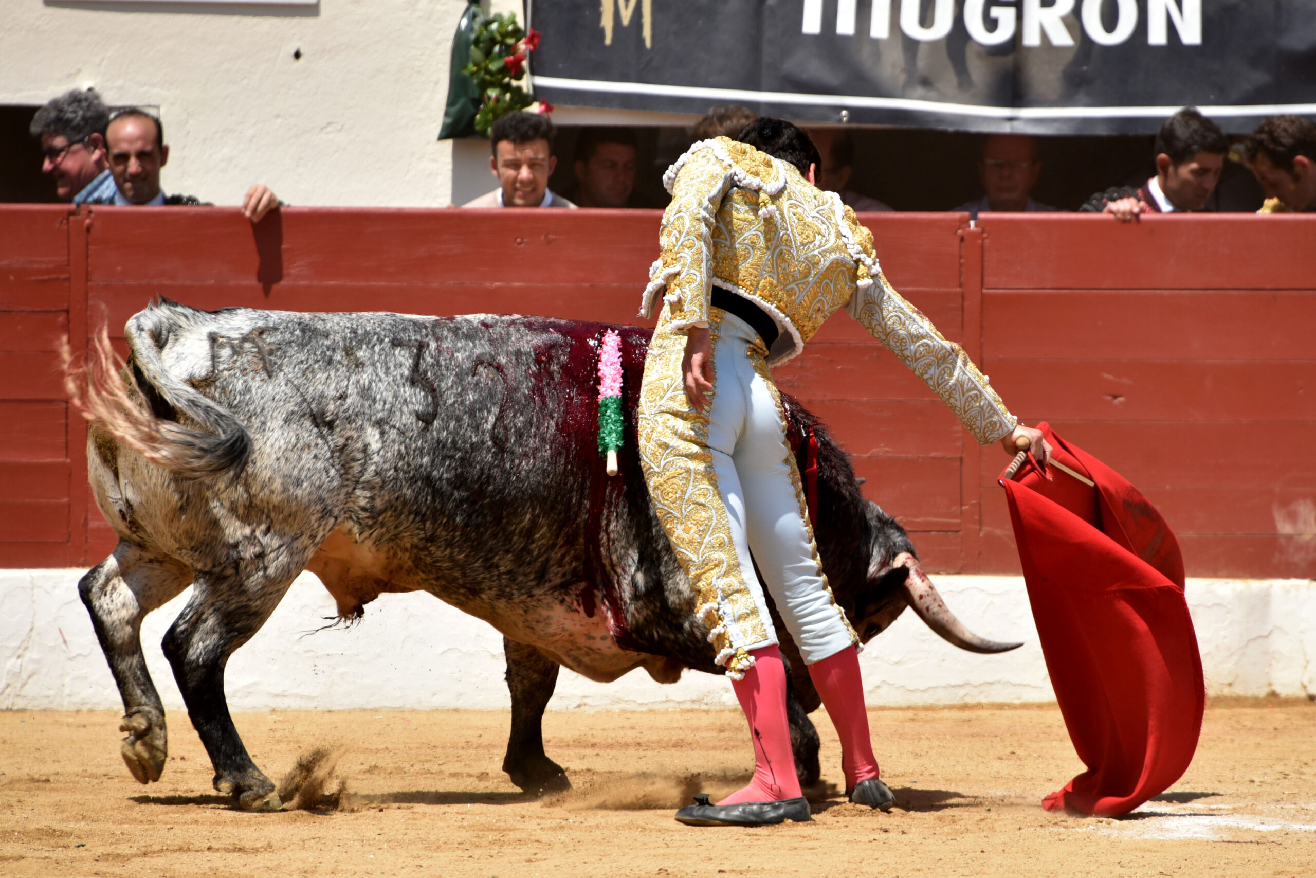 Vic-Fezensac (Francia) - Feria de Pentecostés - Matinal - Domingo 20 de mayo 2018