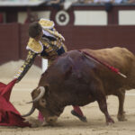 Vic-Fezensac (Francia) - Feria de Pentecostés - Tarde - Domingo 20 de mayo 2018