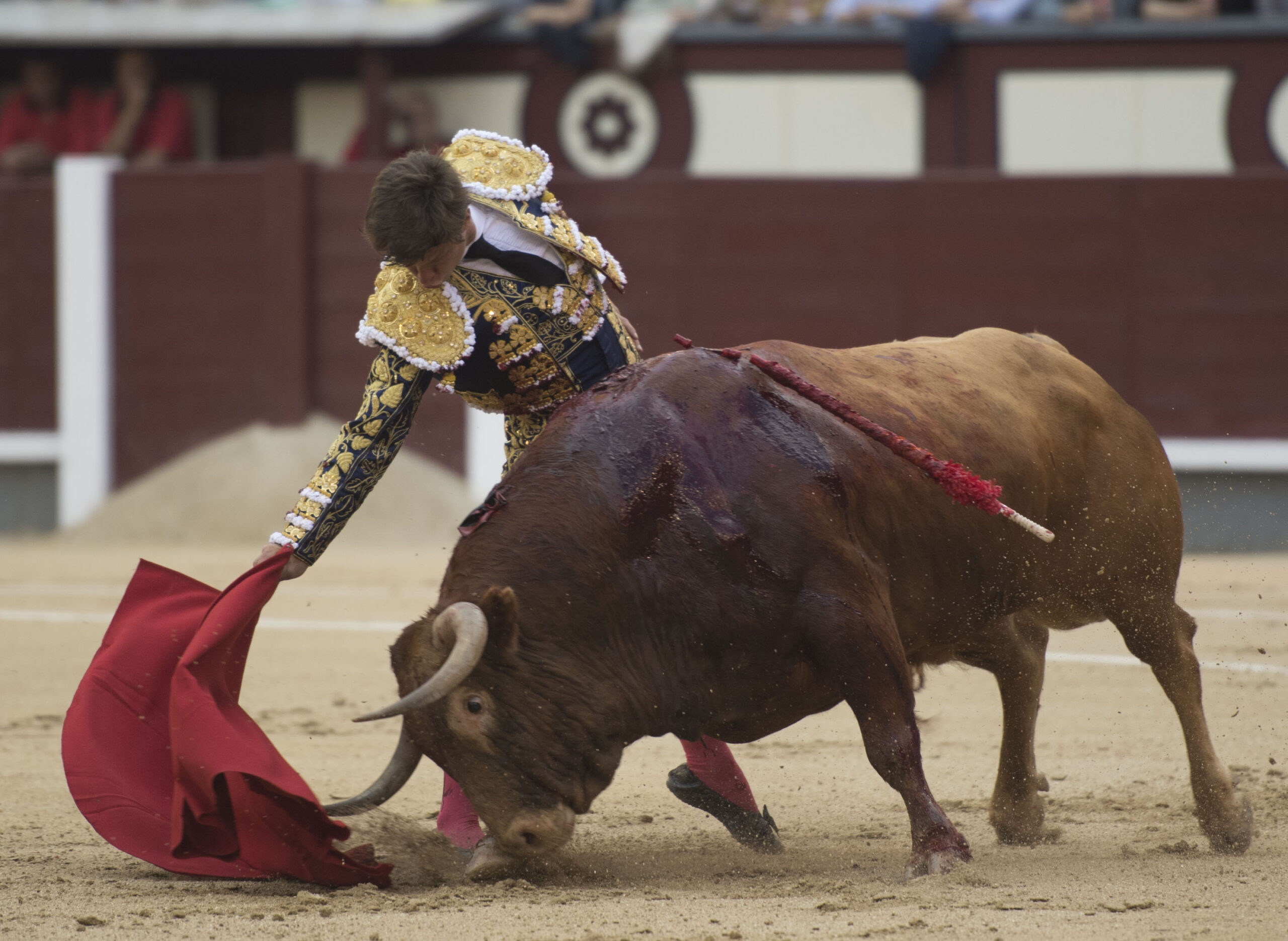 Vic-Fezensac (Francia) - Feria de Pentecostés - Tarde - Domingo 20 de mayo 2018