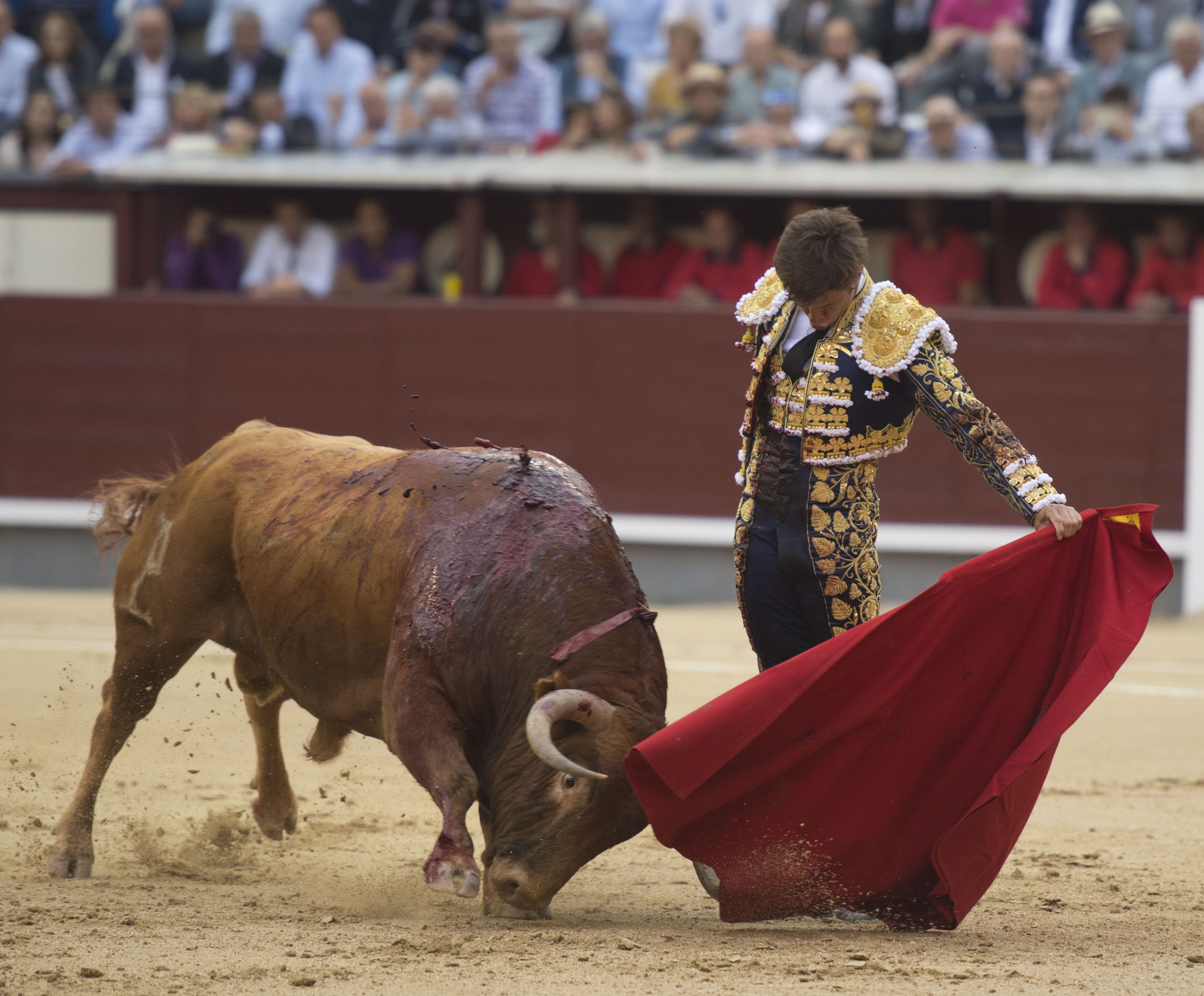 Madrid, 13 de mayo de 2018