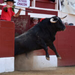 Vic-Fezensac (Francia) - Feria de Pentecostés - Tarde - Domingo 20 de mayo 2018