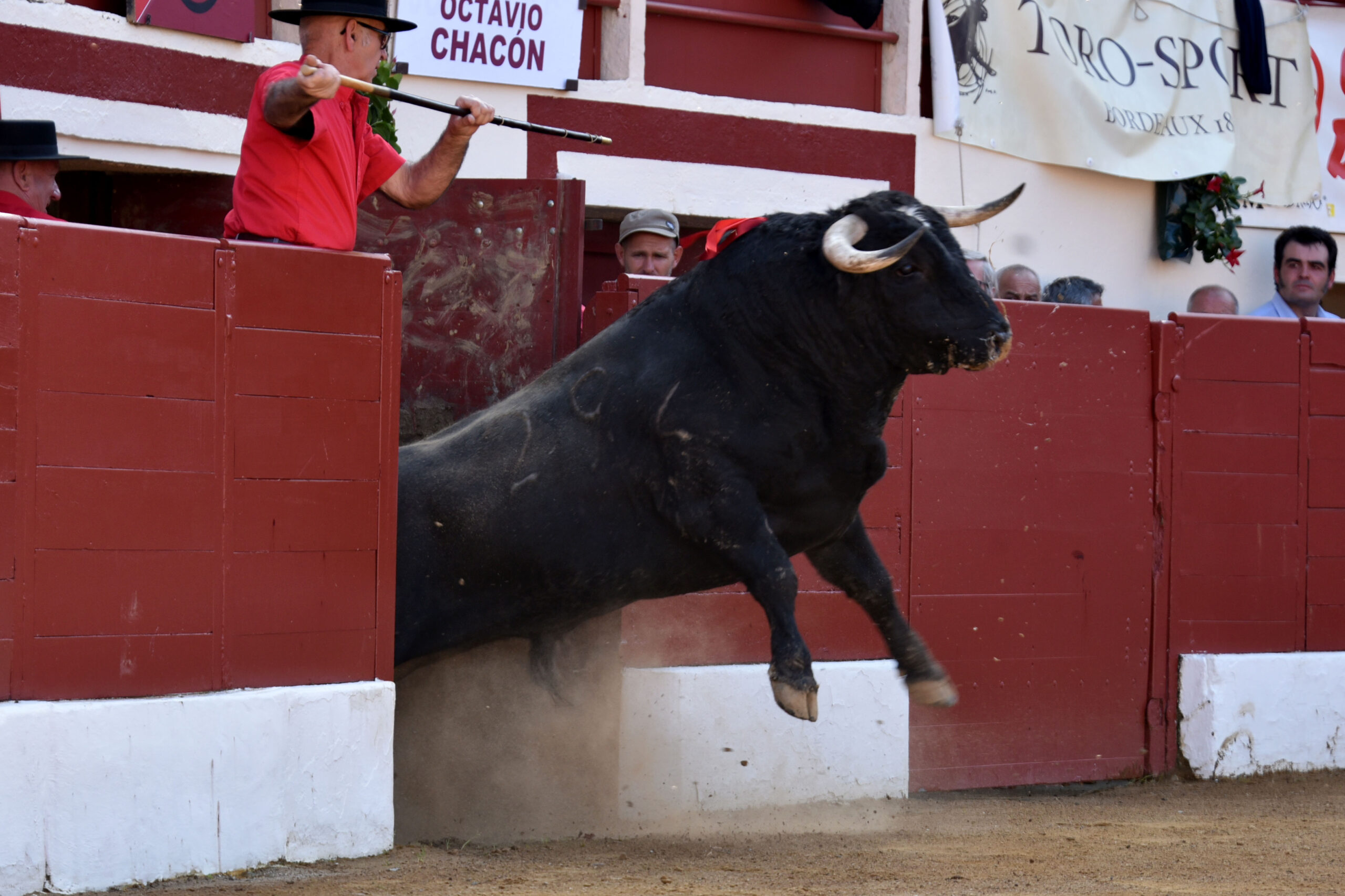 Vic-Fezensac (Francia) - Feria de Pentecostés - Tarde - Domingo 20 de mayo 2018