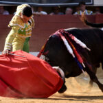 Vic-Fezensac (Francia) - Feria de Pentecostés - Tarde - Domingo 20 de mayo 2018
