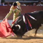 Vic-Fezensac (Francia) - Feria de Pentecostés - Tarde - Domingo 20 de mayo 2018