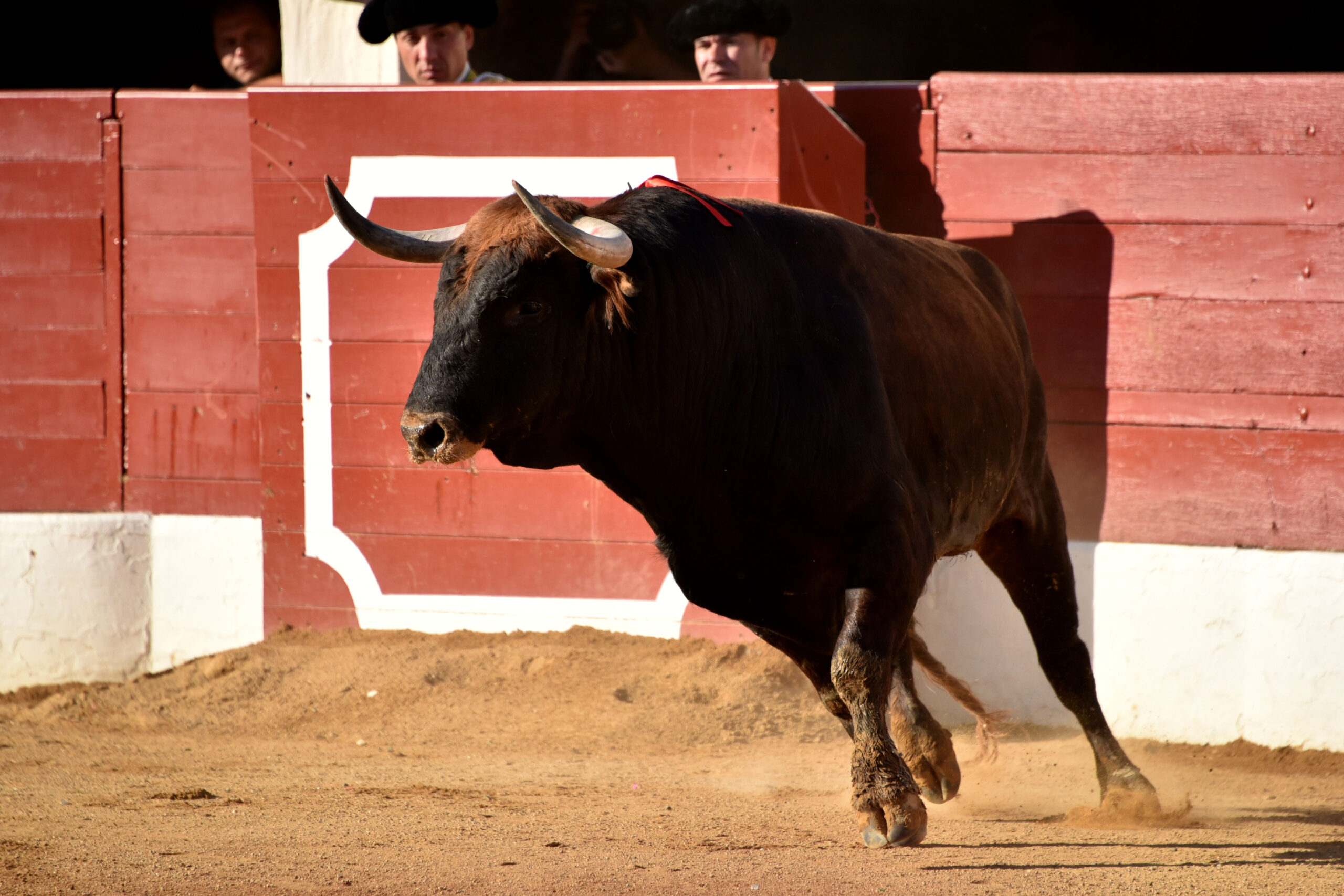 Vic-Fezensac (Francia) - Feria de Pentecostés - Tarde - Domingo 20 de mayo 2018