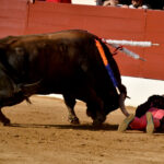 Vic-Fezensac (Francia) - Feria de Pentecostés - Tarde - Domingo 20 de mayo 2018