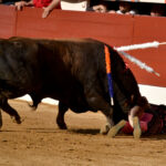 Vic-Fezensac (Francia) - Feria de Pentecostés - Tarde - Domingo 20 de mayo 2018