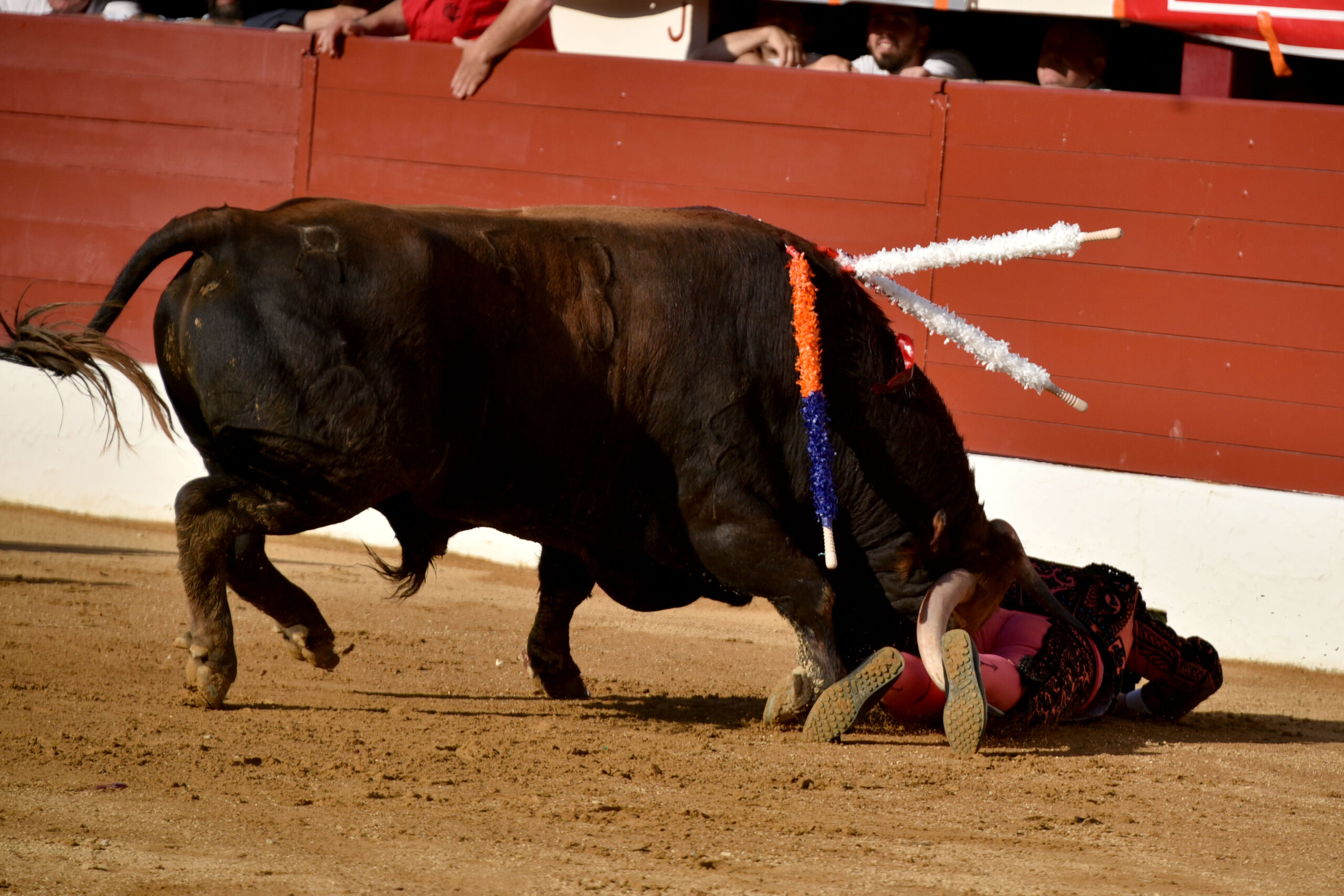 Vic-Fezensac (Francia) - Feria de Pentecostés - Tarde - Domingo 20 de mayo 2018