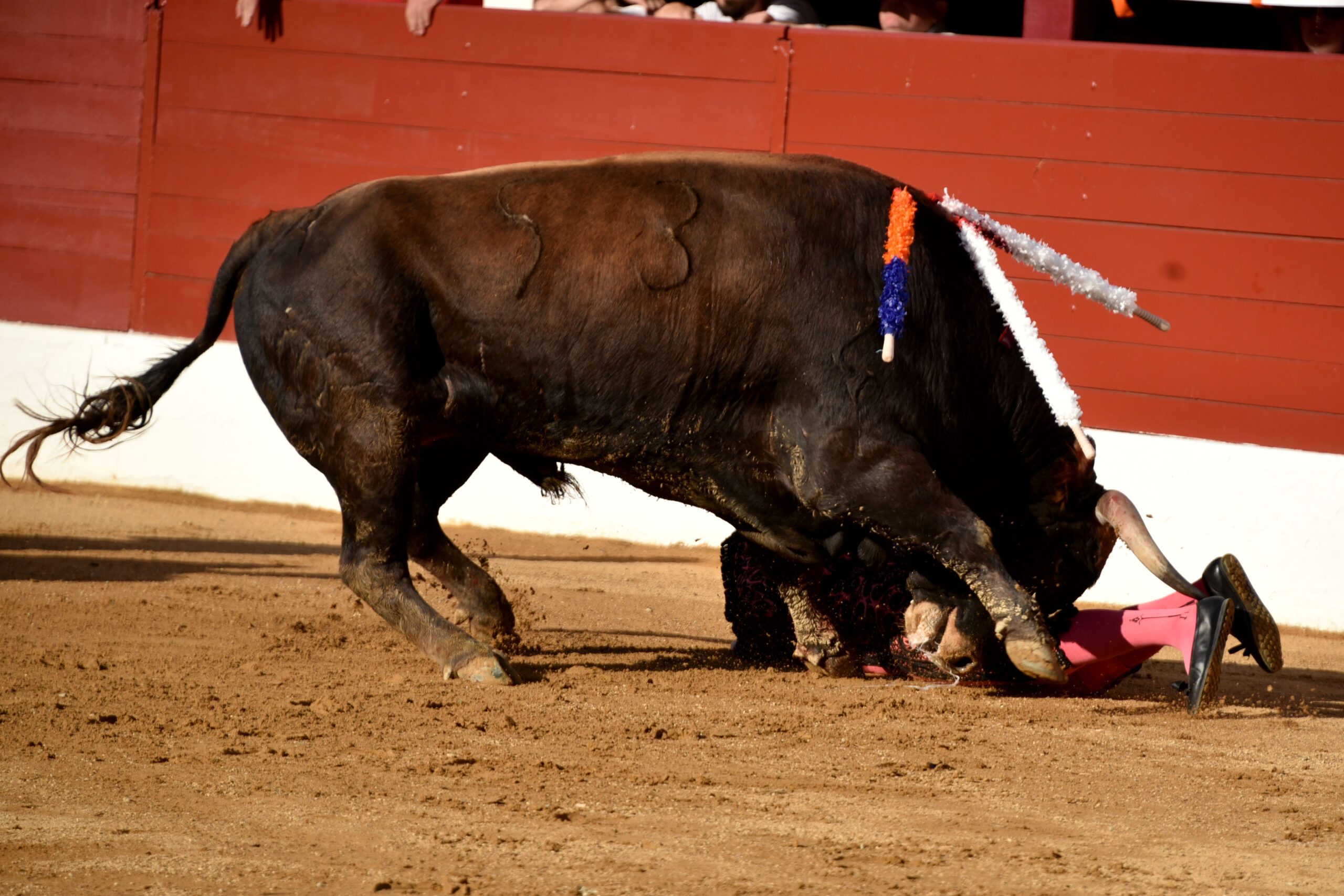 Vic-Fezensac (Francia) - Feria de Pentecostés - Tarde - Domingo 20 de mayo 2018