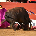 Vic-Fezensac (Francia) - Feria de Pentecostés - Tarde - Domingo 20 de mayo 2018