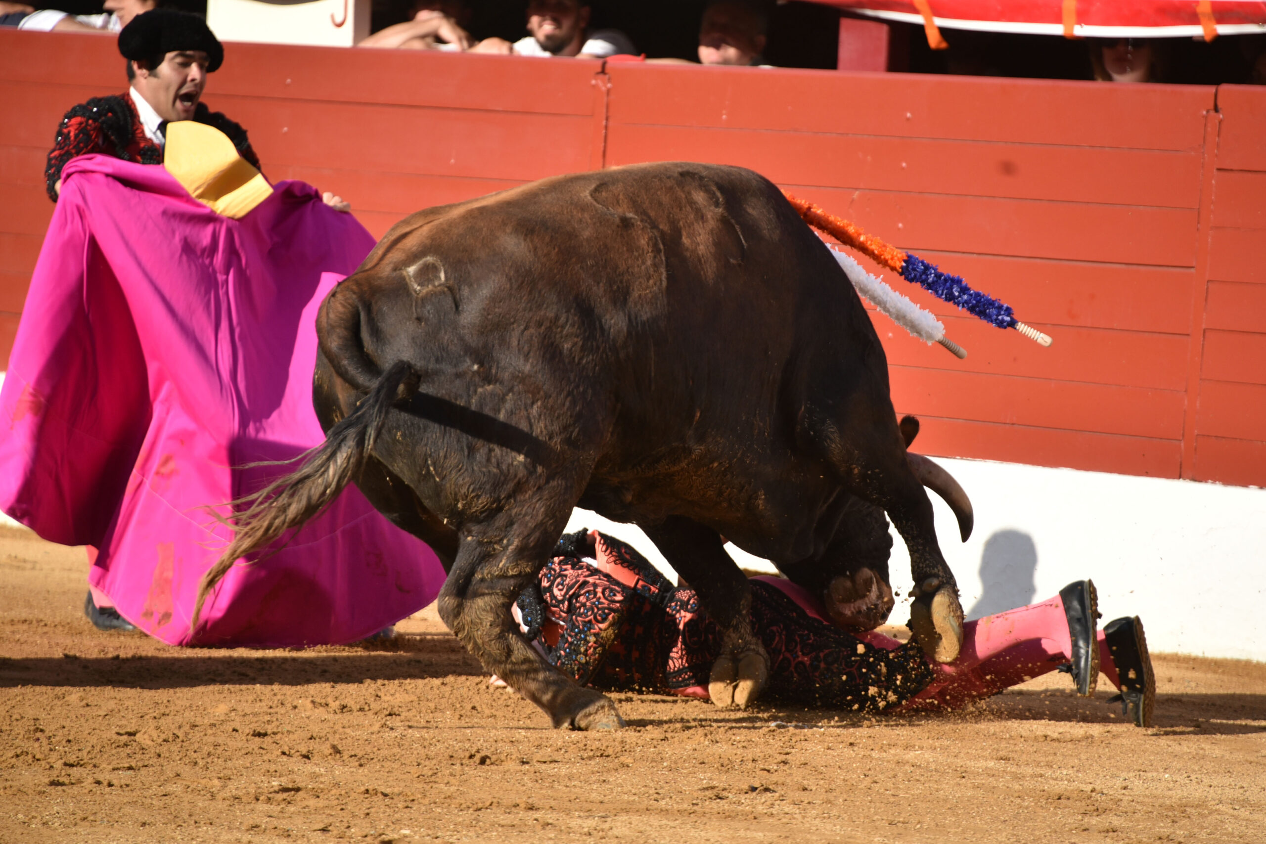Vic-Fezensac (Francia) - Feria de Pentecostés - Tarde - Domingo 20 de mayo 2018