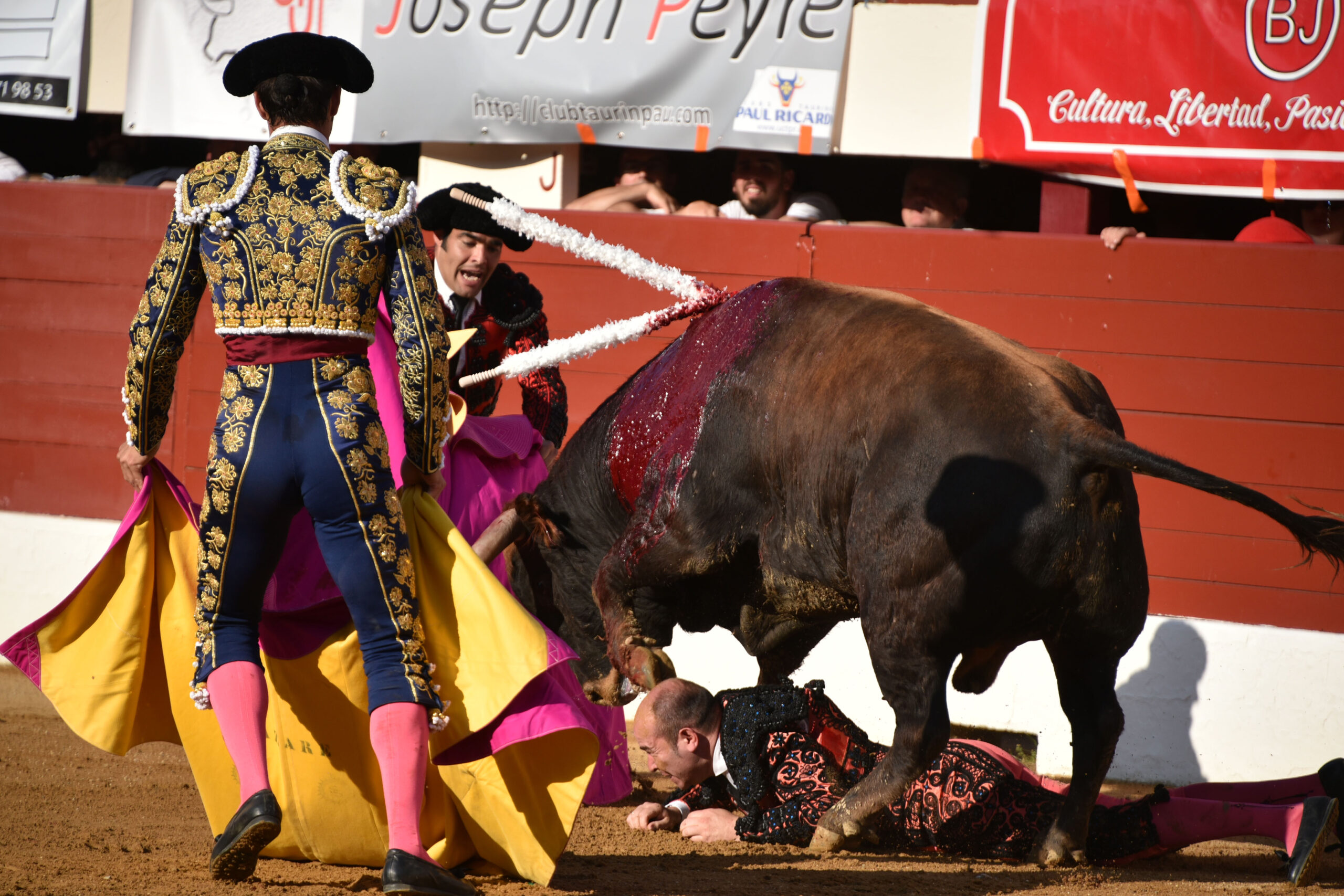 Vic-Fezensac (Francia) - Feria de Pentecostés - Tarde - Domingo 20 de mayo 2018