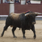 Madrid, martes 1 de mayo de 2018. Feria de la Comunidad