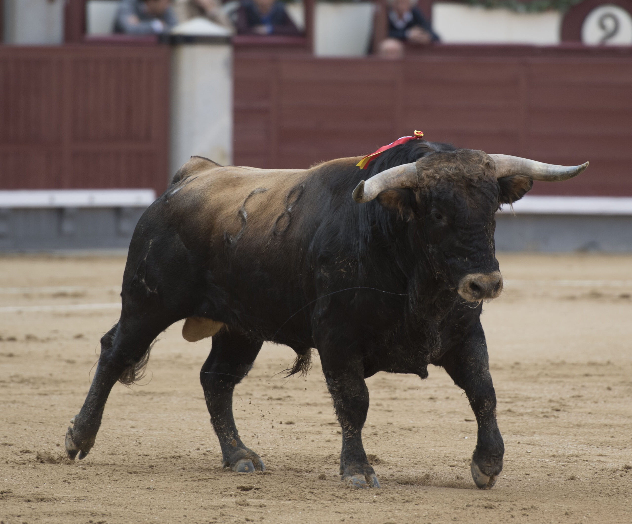 Madrid, martes 1 de mayo de 2018. Feria de la Comunidad