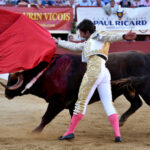 Vic-Fezensac (Francia) - Feria de Pentecostés - Tarde - Domingo 20 de mayo 2018