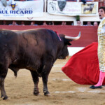 Vic-Fezensac (Francia) - Feria de Pentecostés - Tarde - Domingo 20 de mayo 2018