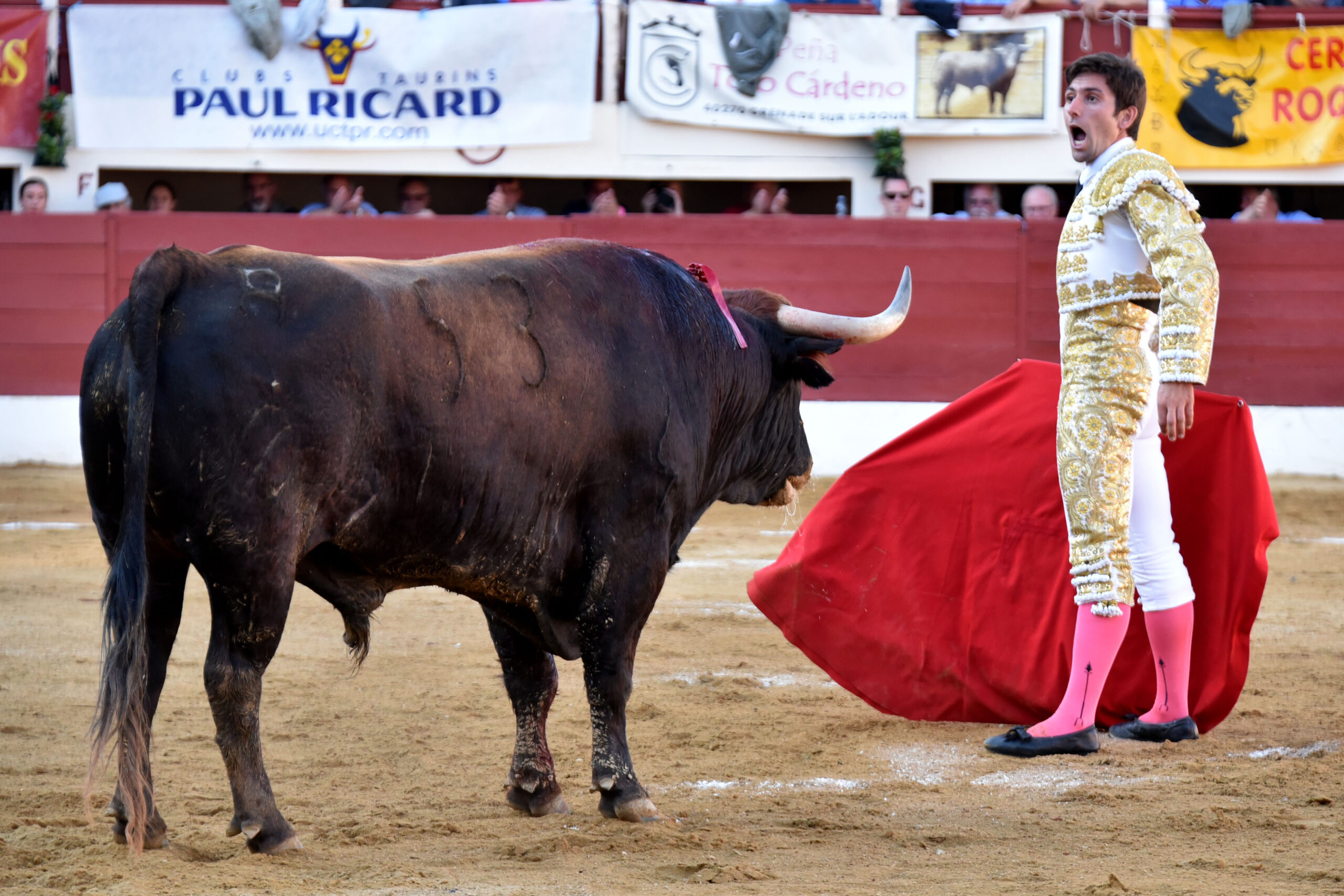 Vic-Fezensac (Francia) - Feria de Pentecostés - Tarde - Domingo 20 de mayo 2018