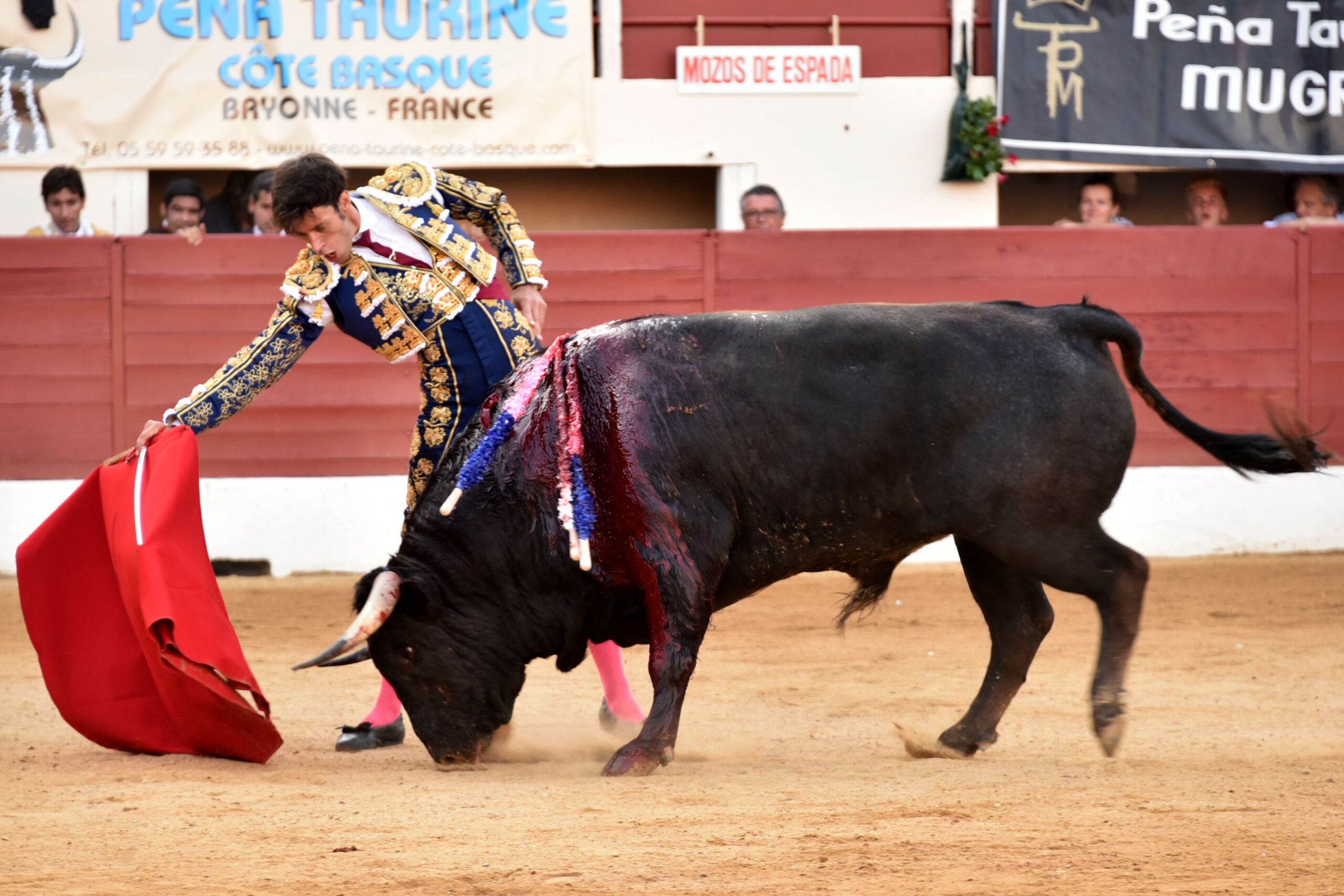 Vic-Fezensac (Francia) - Feria de Pentecostés - Tarde - Domingo 20 de mayo 2018