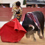 Vic-Fezensac (Francia) - Feria de Pentecostés - Tarde - Domingo 20 de mayo 2018