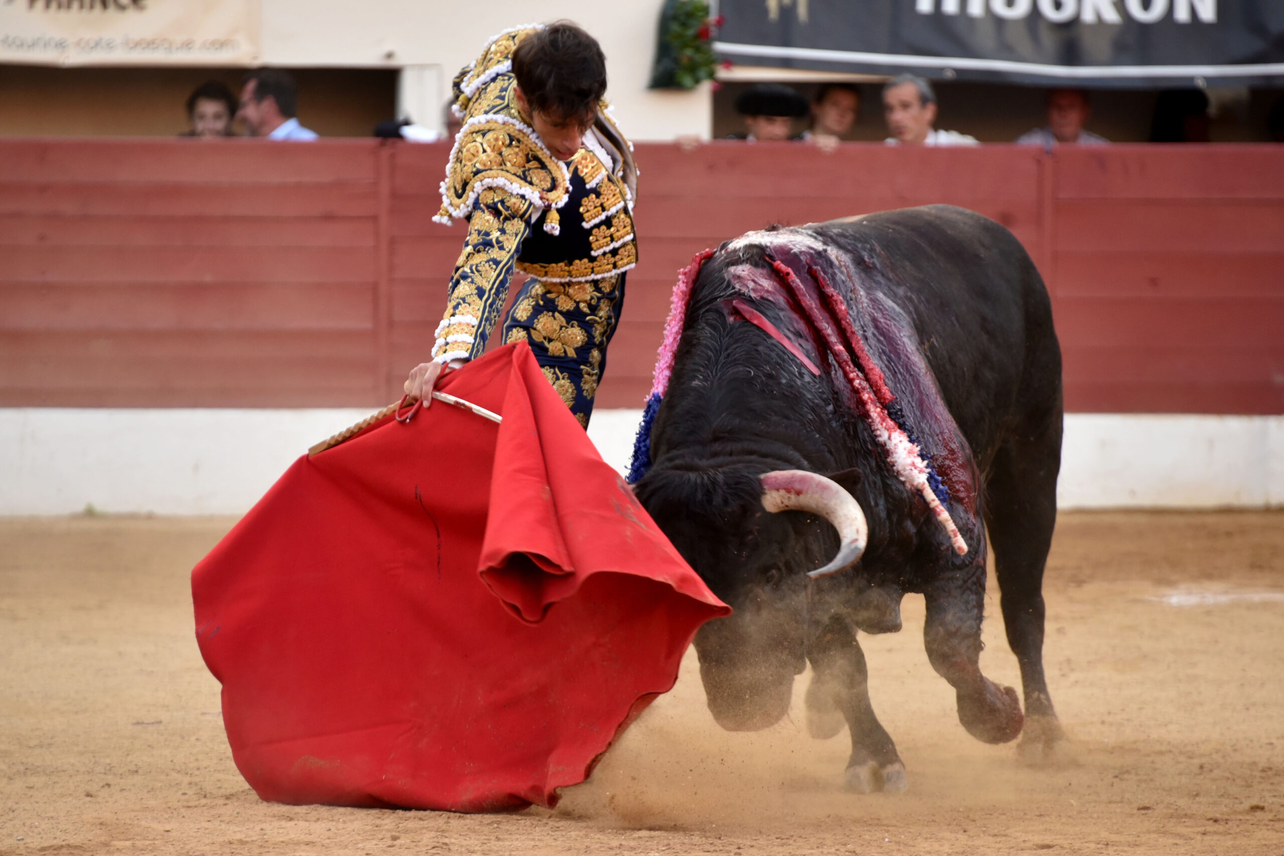 Vic-Fezensac (Francia) - Feria de Pentecostés - Tarde - Domingo 20 de mayo 2018