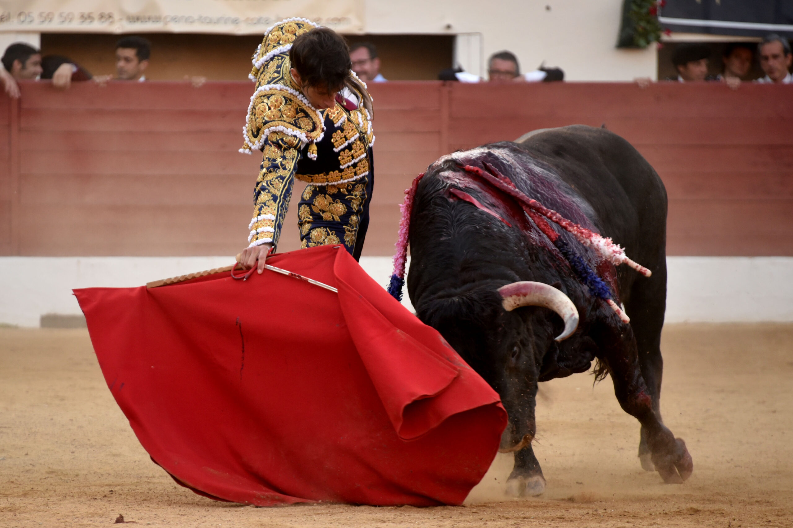 Vic-Fezensac (Francia) - Feria de Pentecostés - Tarde - Domingo 20 de mayo 2018