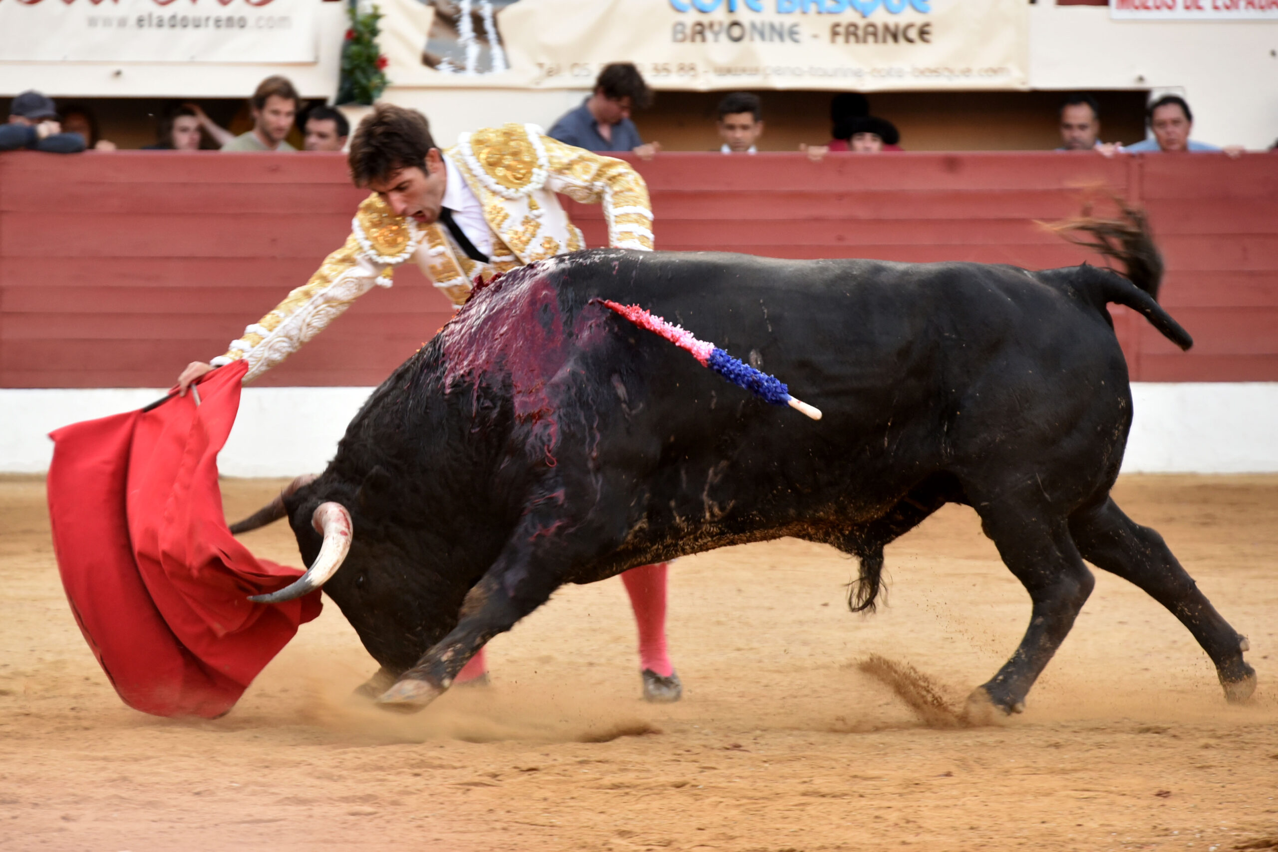 Vic-Fezensac (Francia) - Feria de Pentecostés - Tarde - Domingo 20 de mayo 2018
