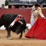 Vic-Fezensac (Francia) - Feria de Pentecostés - Tarde - Domingo 20 de mayo 2018
