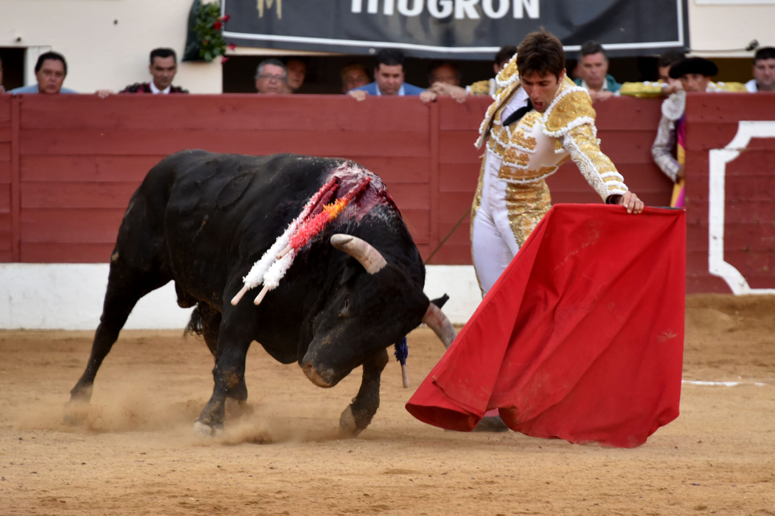 Vic-Fezensac (Francia) - Feria de Pentecostés - Tarde - Domingo 20 de mayo 2018