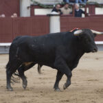 Madrid, martes 1 de mayo de 2018. Feria de la Comunidad