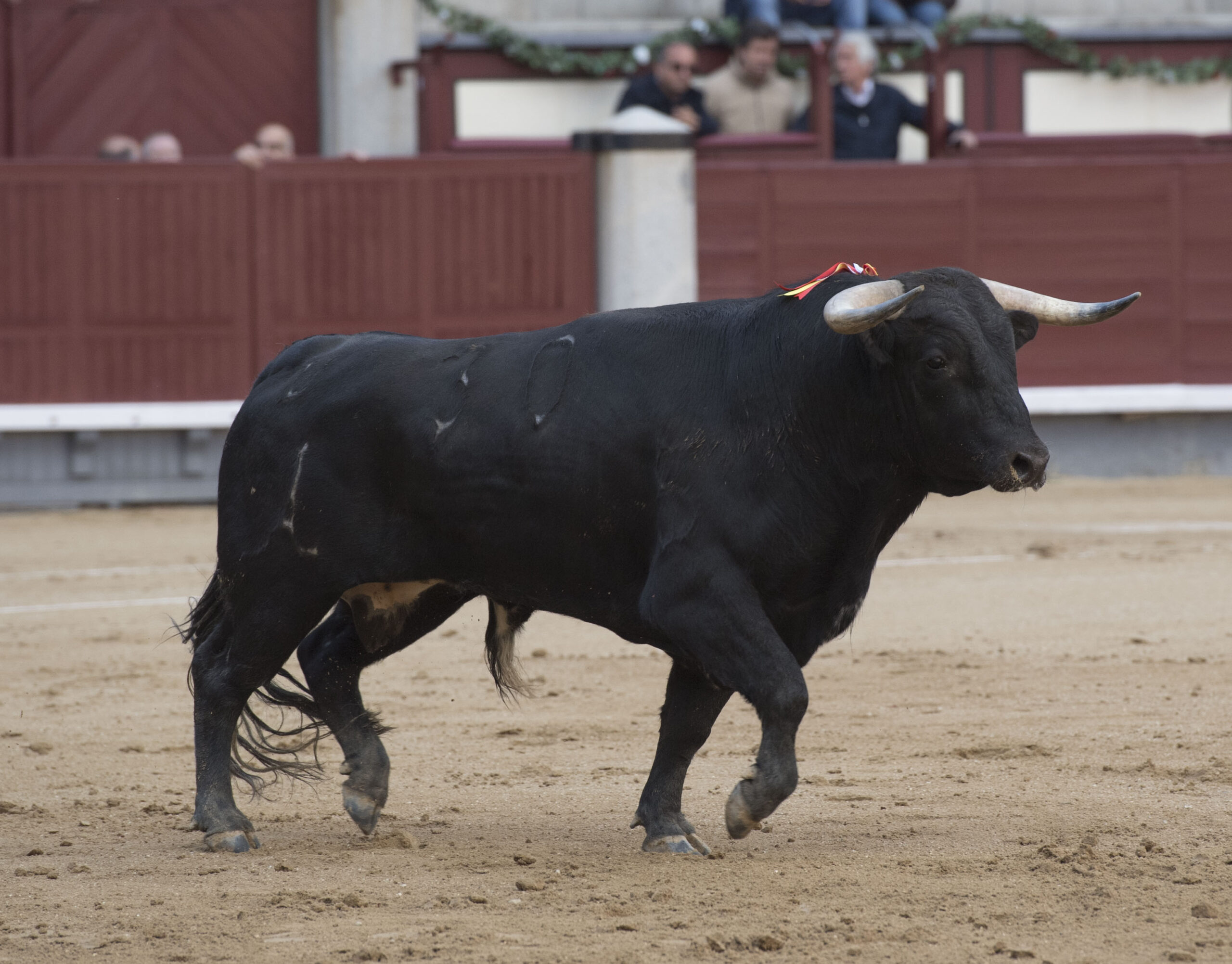 Madrid, martes 1 de mayo de 2018. Feria de la Comunidad