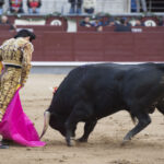 Madrid, martes 1 de mayo de 2018. Feria de la Comunidad