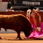 Vic-Fesensac (Francia), lunes 21 de mayo de 2018. Toros de Pedraza de Yeltes para Curro Díaz, Daniel Luque y Emilio de Justo